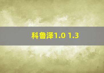 科鲁泽1.0 1.3